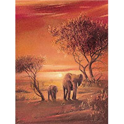 Affiche Sunset with Éléphants