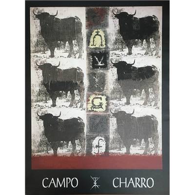 Affiche Campo Charro