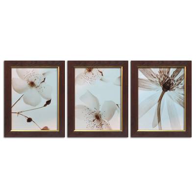 Lot de 3 cadres Dallas "Fleurs"