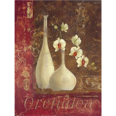 Affiche Orchidea