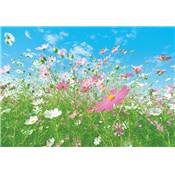 Flower Meadow - 8P