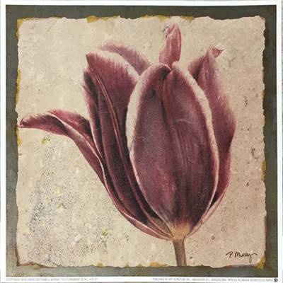 Affichette Tulip Fragment detail