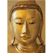 Golden Buddha - 4P