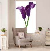 Poster XXL - Purple Calla Lilies