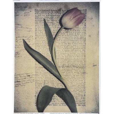 Affichette "Tulip text 1"